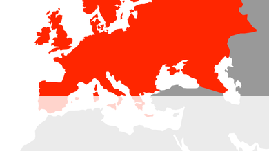 SIRDS SLIMĪBU REZULTĀTĀ LĪDZ 2040. GADAM MIRS 500 MILJONI CILVĒKU, JA NESĀKS ĒST VESELĪGU UZTURU (SALĪDZINĀJUMAM JĀPIEBILST, KA EIROPAS VALSTĪS KOPUMĀ DZĪVO 500 MILJONI CILVĒKU)